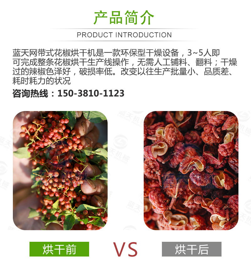 花椒網帶烘干機產品簡介