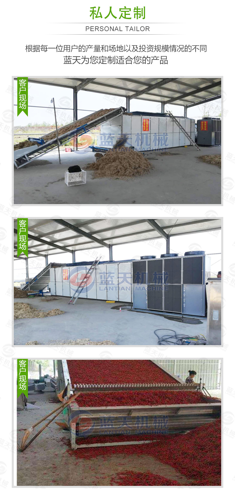 花椒網帶烘干機私人定制