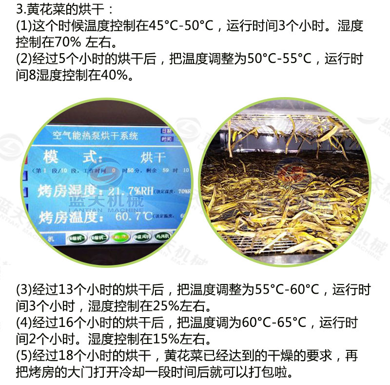 黃花菜網帶烘干機烘干工藝 