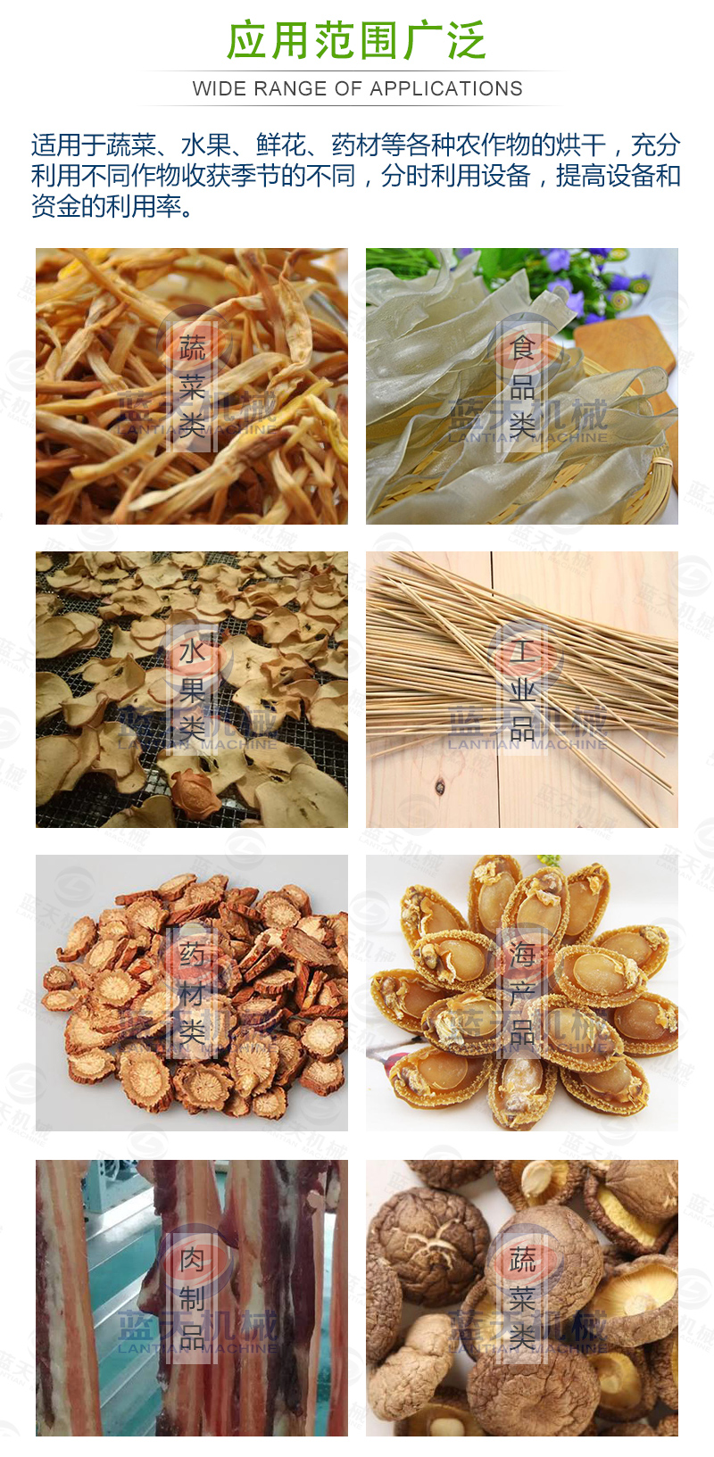 黃花菜網帶烘干機應用范圍