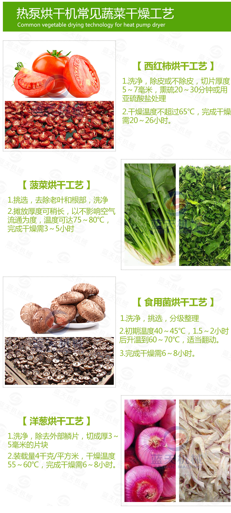 黃花菜網帶烘干機常見烘干工藝