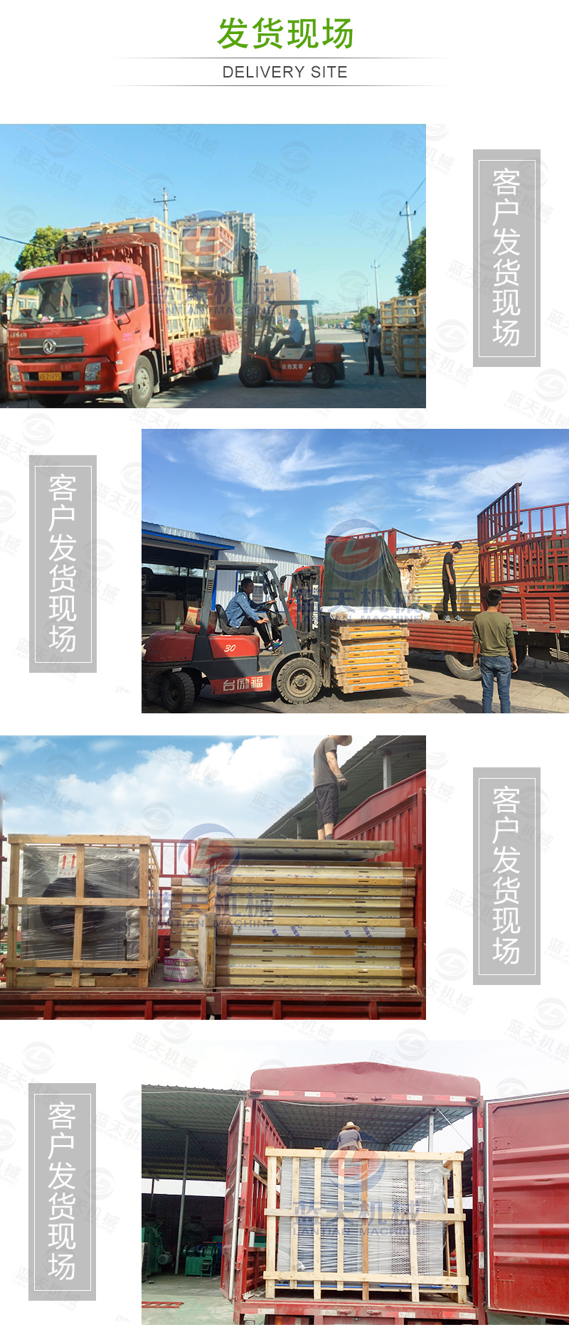 黃花菜網帶烘干機發貨現場