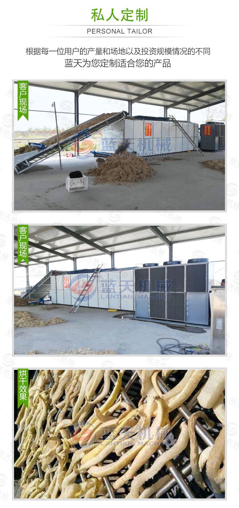 蘿卜條網帶烘干機私人定制