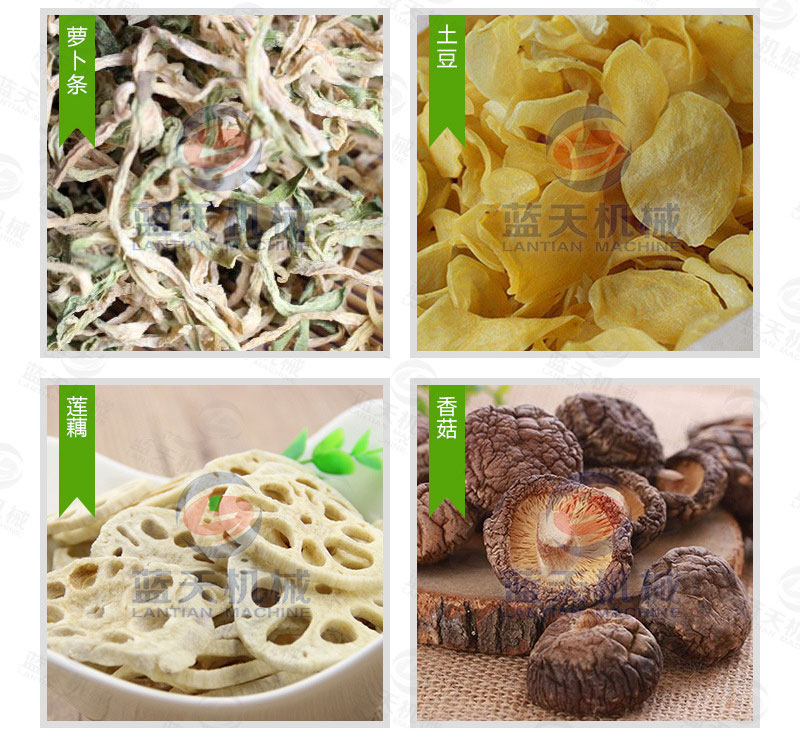 豆角網帶烘干機烘干效果