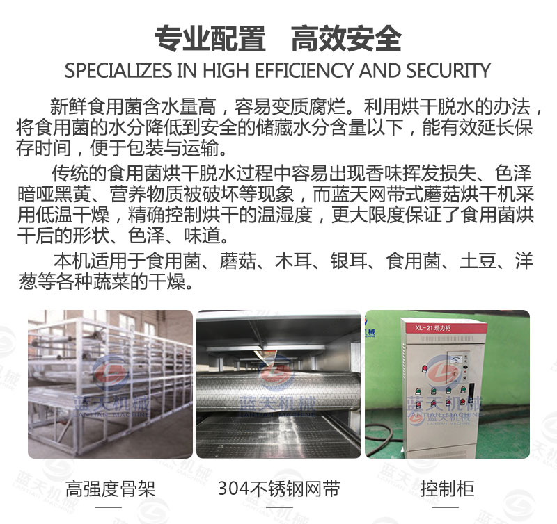 食用菌網帶烘干機專業配置