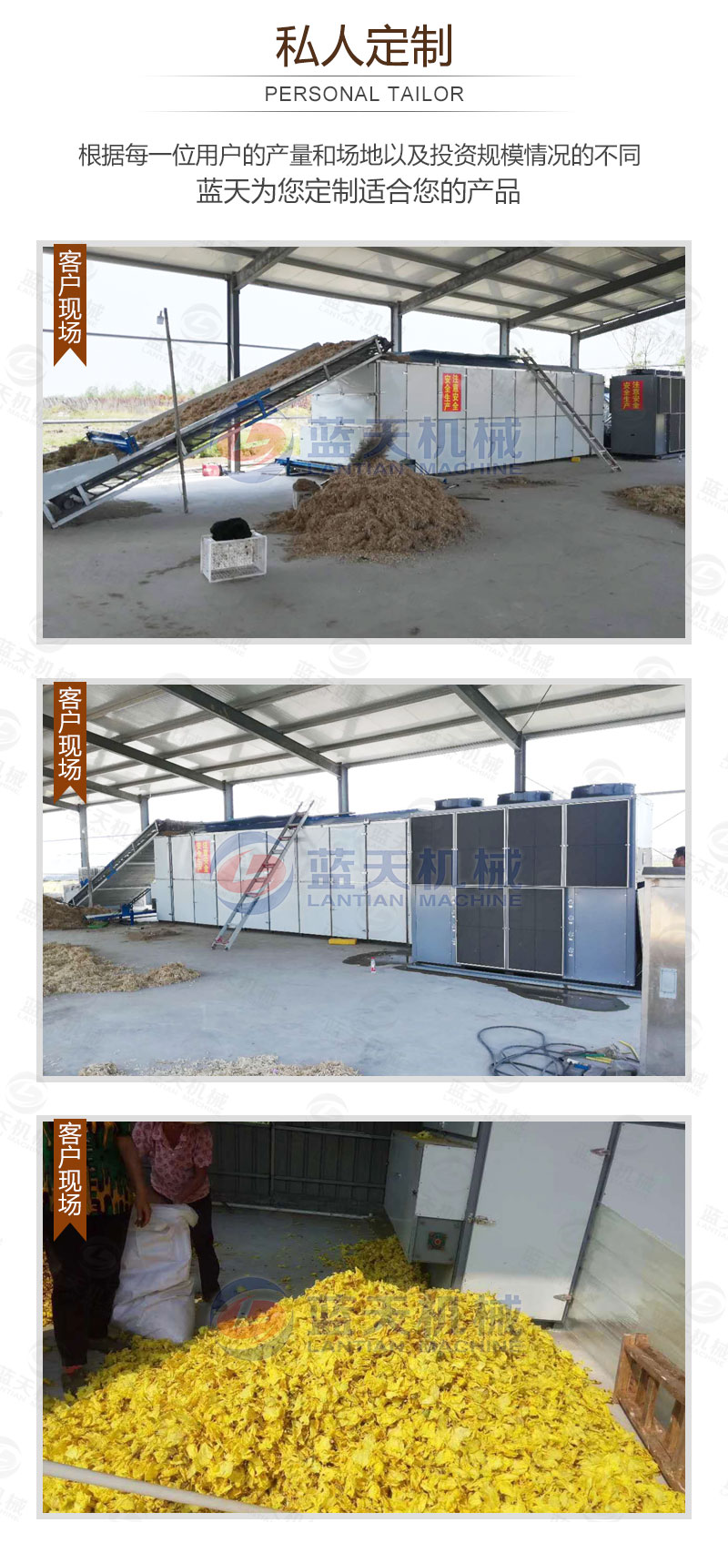 食用菌網帶烘干機私人定制