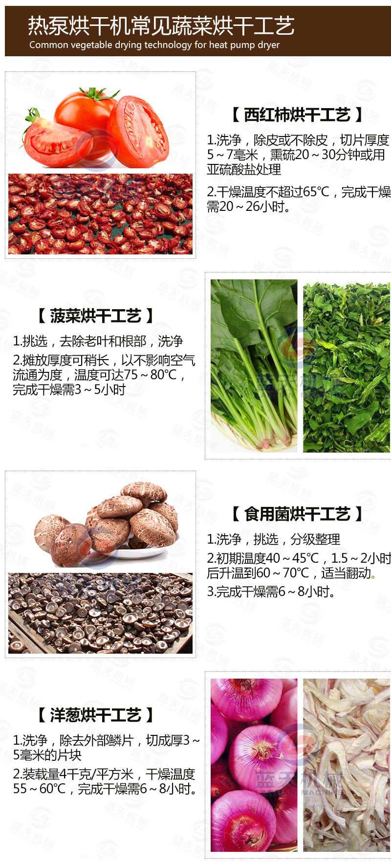 食用菌網帶烘干機常見蔬菜烘干工藝