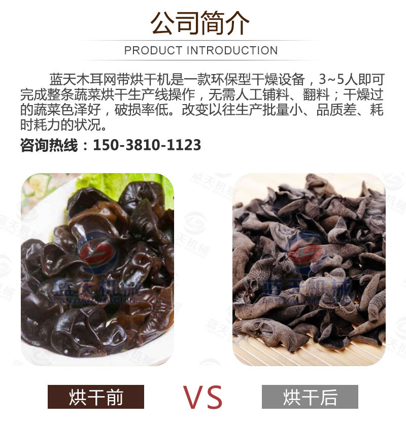 木耳網(wǎng)帶烘干機(jī)產(chǎn)品簡介