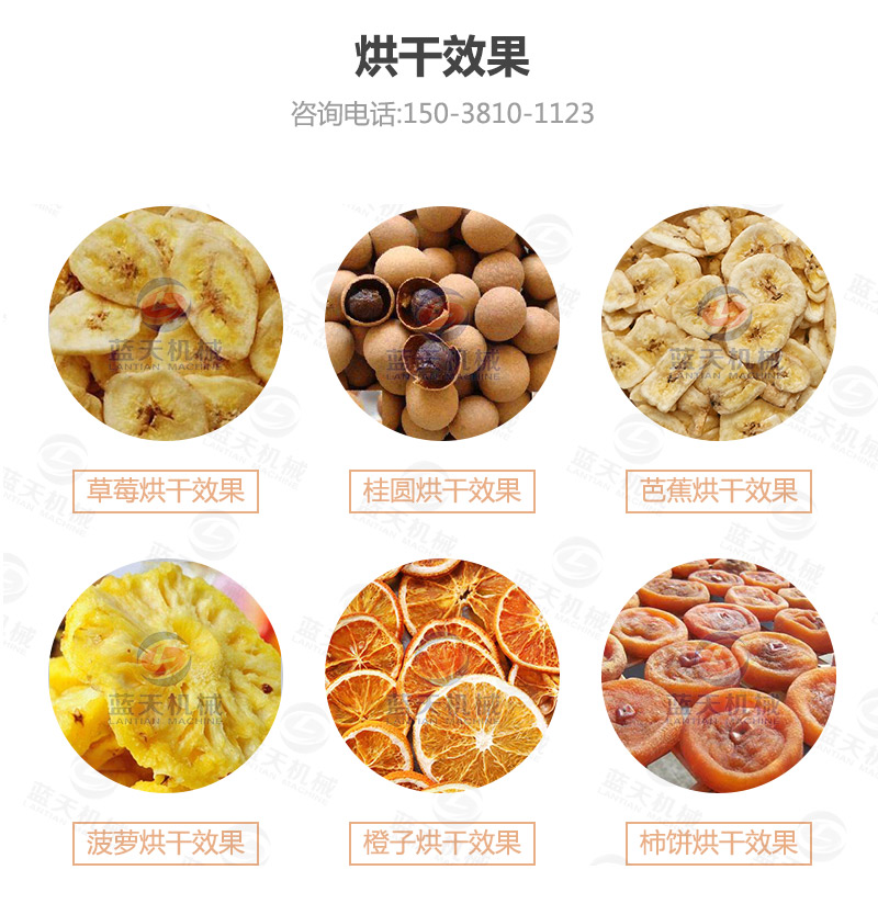香蕉片網帶烘干機烘干效果