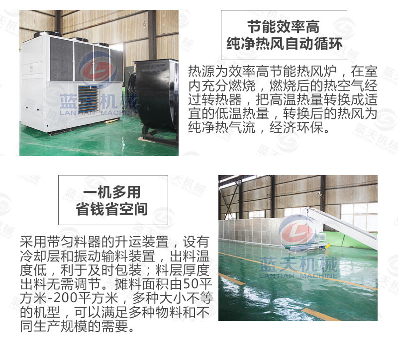 香蕉片網帶烘干機選擇藍天