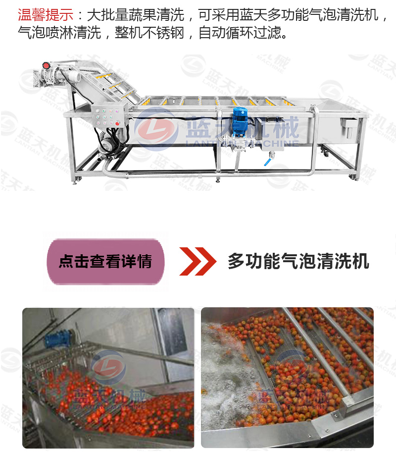 香蕉片網帶烘干機相關產品