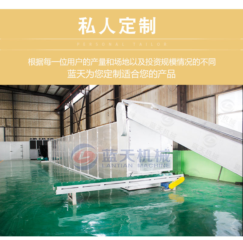 檸檬片網帶烘干機私人定制