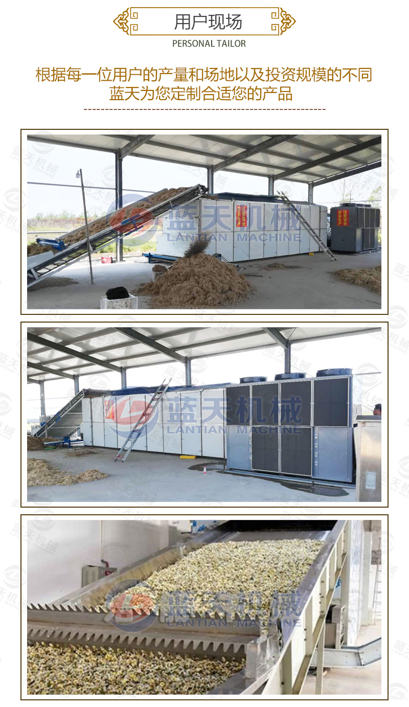 金銀花網帶式烘干機用戶現場