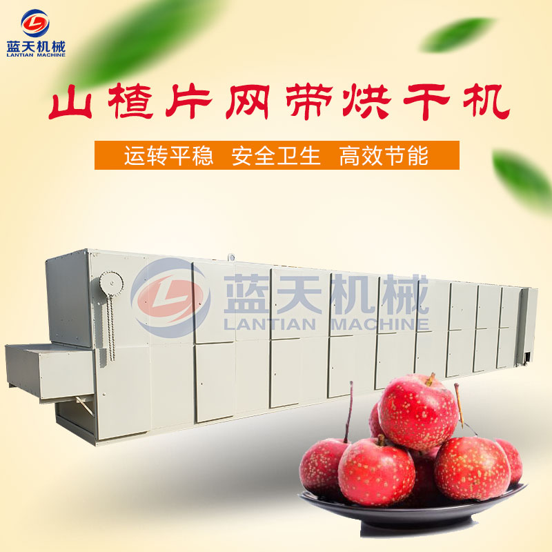 山楂片網帶烘干機