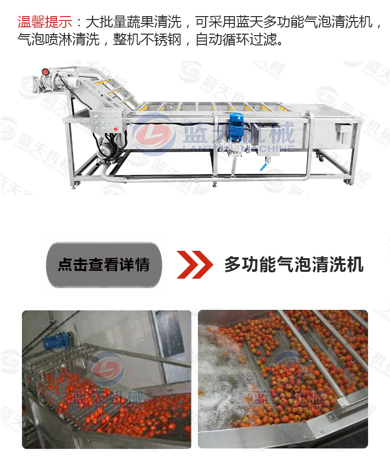 山楂片網帶烘干機相關產品