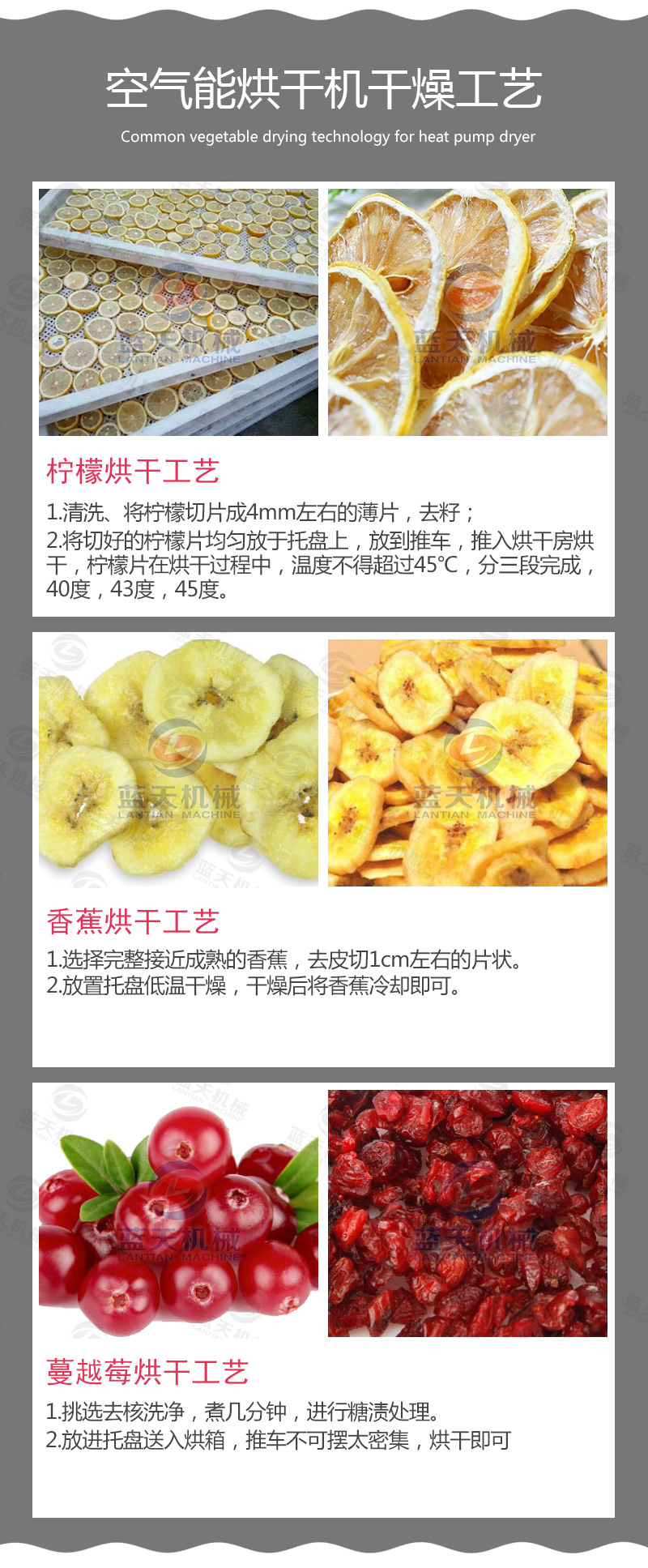 山楂片網帶烘干機烘干工藝