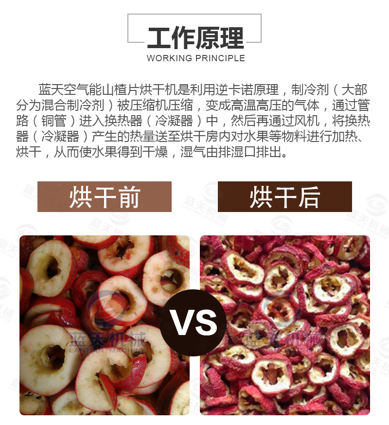 山楂片網帶烘干機工作原理