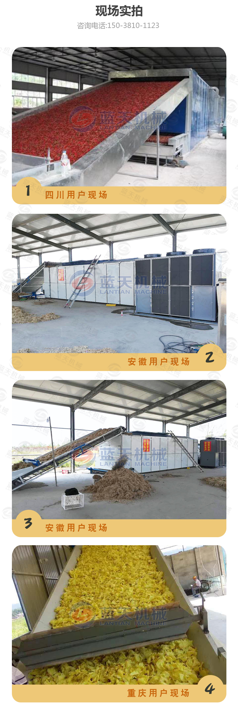 山楂片網帶烘干機現場實拍