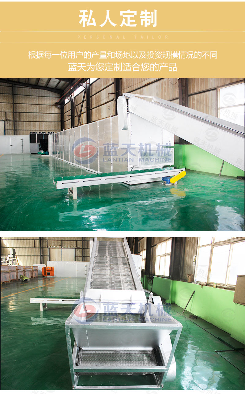 連翹網帶式烘干機私人定制