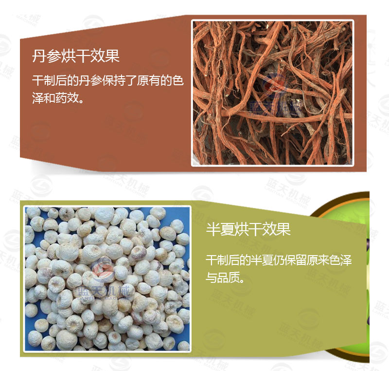 丹參網帶式烘干機產品烘干介紹