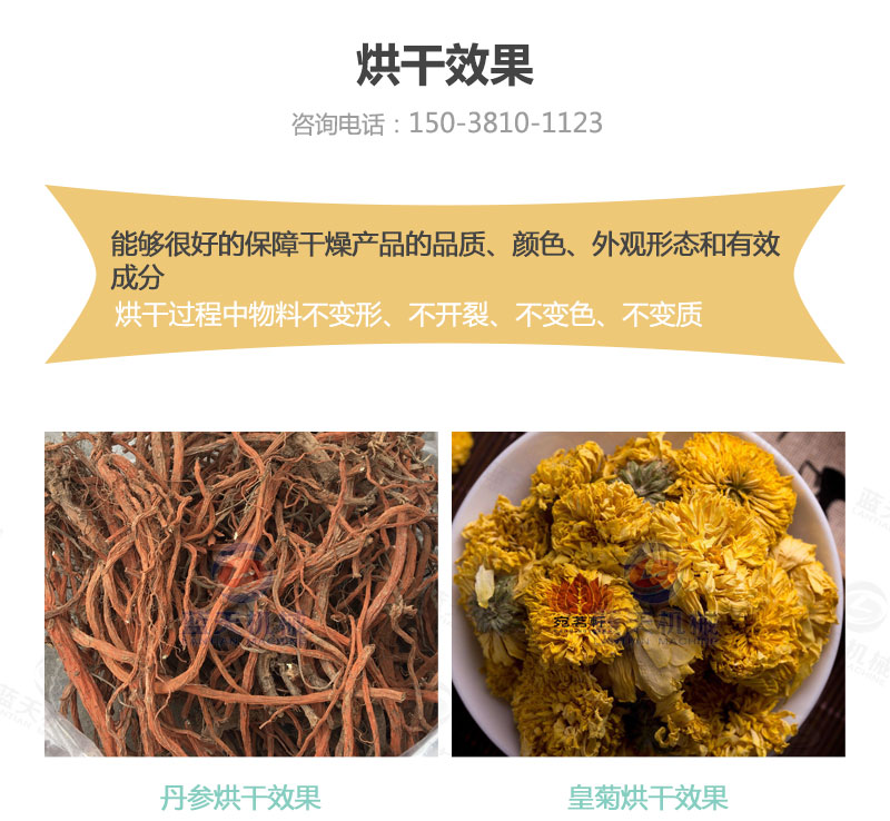 丹參網帶式烘干機烘干效果