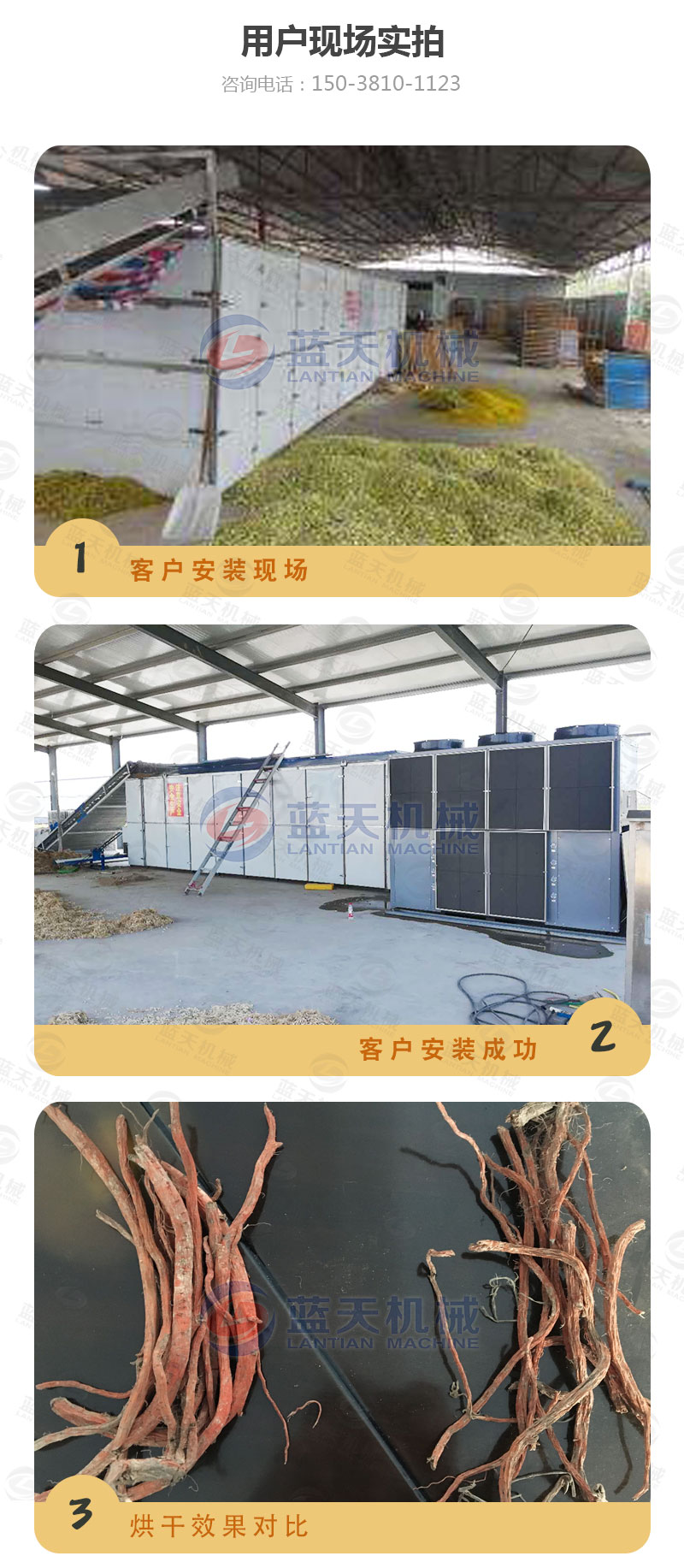 丹參網帶式烘干機用戶現場