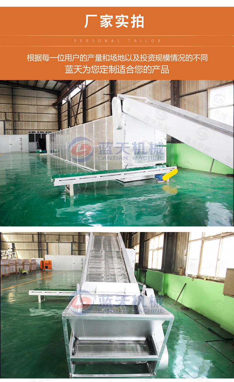 陳皮網帶式烘干機廠家實拍