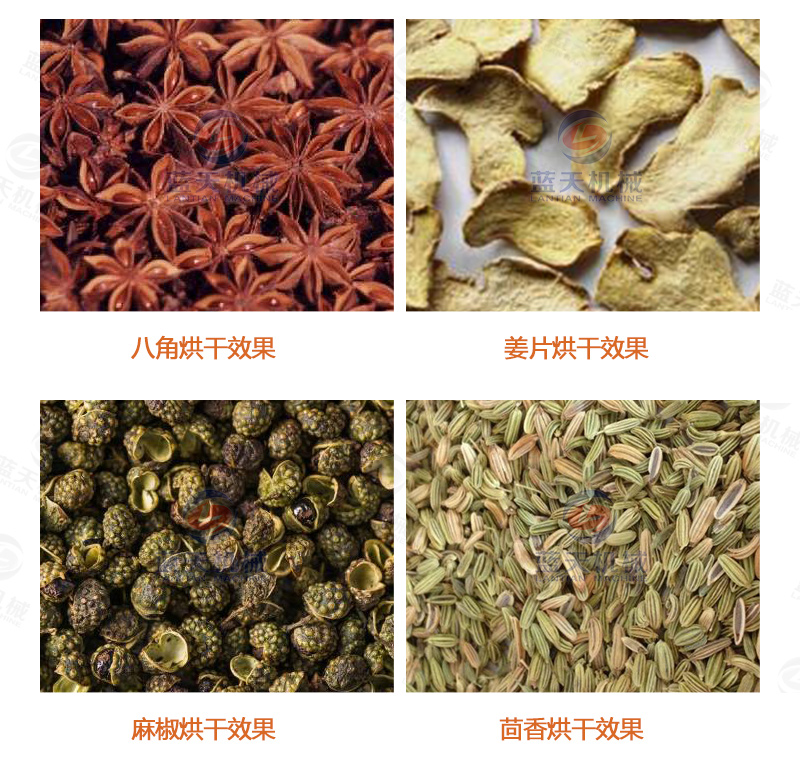 陳皮網帶式烘干機烘干效果