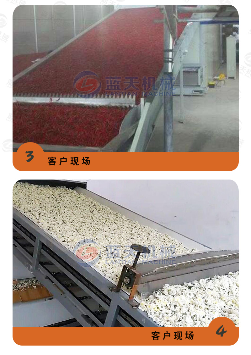 陳皮網帶式烘干機用戶現場