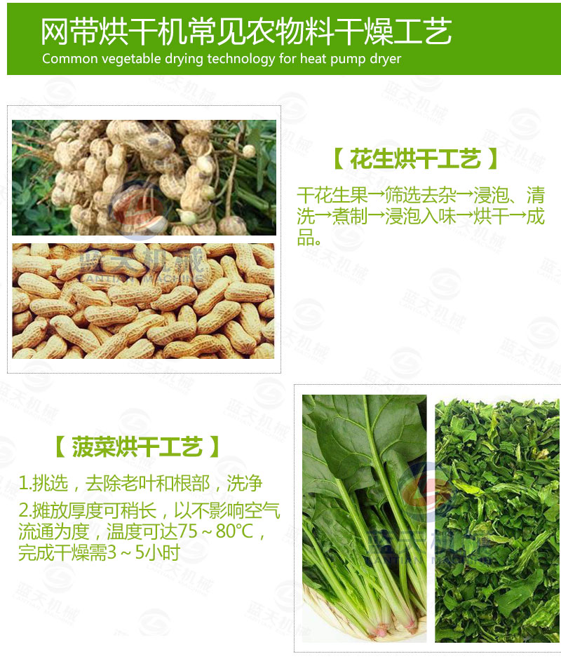 花生網(wǎng)帶式烘干機常見蔬菜烘干工藝