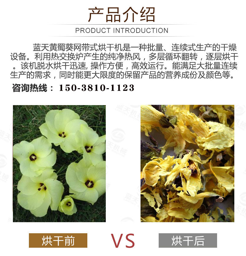 黃蜀葵網(wǎng)帶式烘干機產(chǎn)品介紹