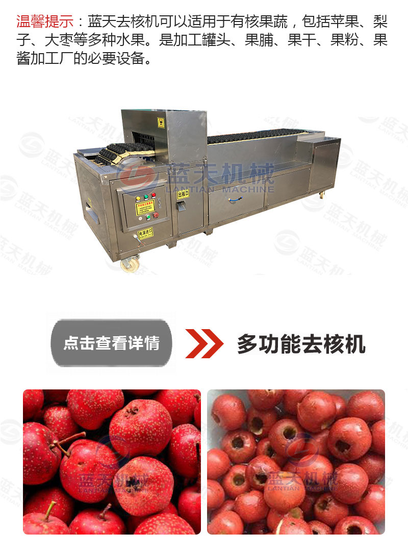 山楂片網帶烘干機相關產品